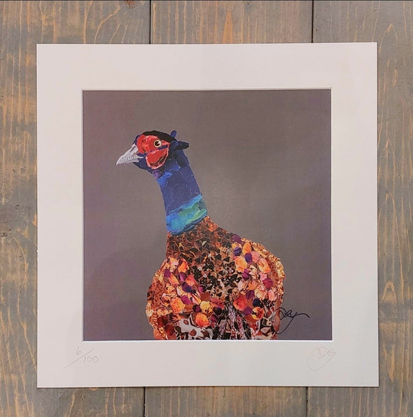 Pheasant - Blackneck 12"×12" Print