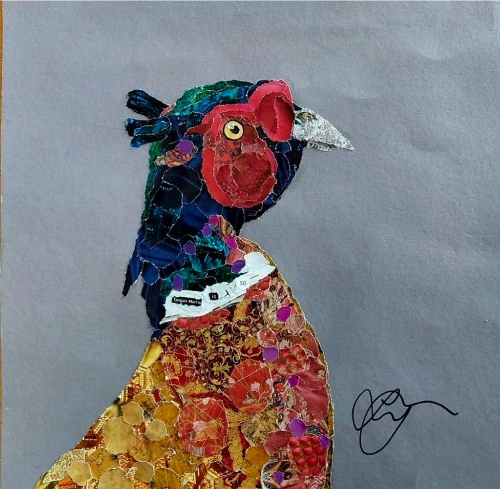 BIRDS Workshop on Thursday 11th of February 2027
