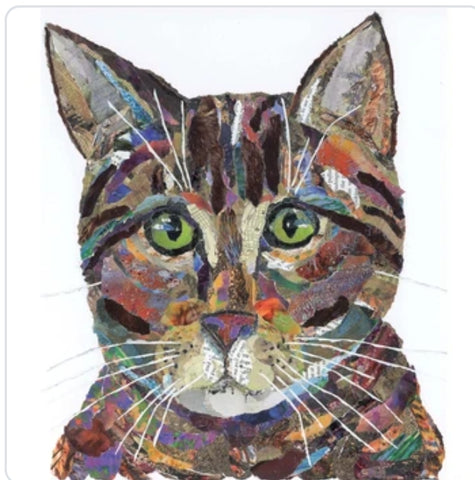 Tabby Cat A3 Print