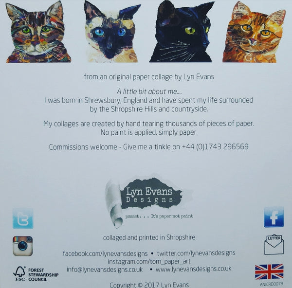 Black Cat Card