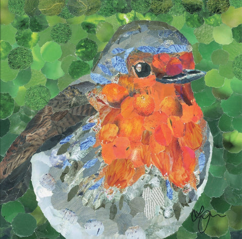 Robin Mini Print